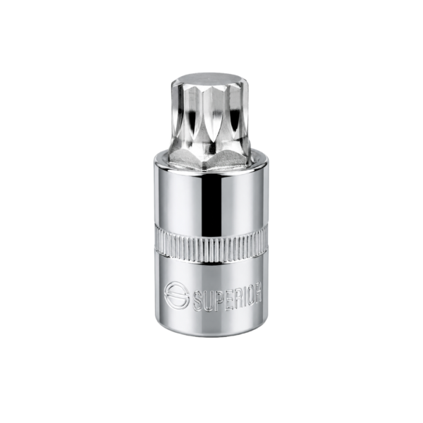 Copa Torx Macho CR  VAN 